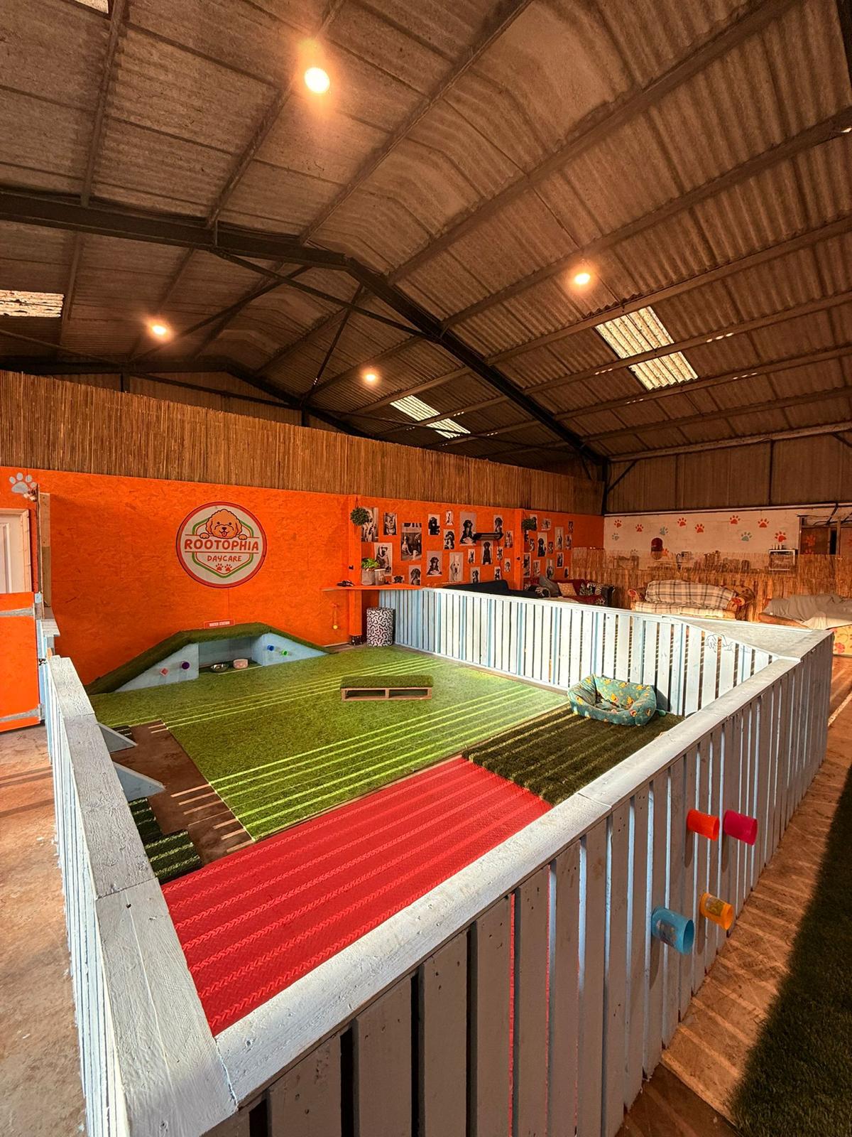 Dogs enjoying daycare at Rootophia