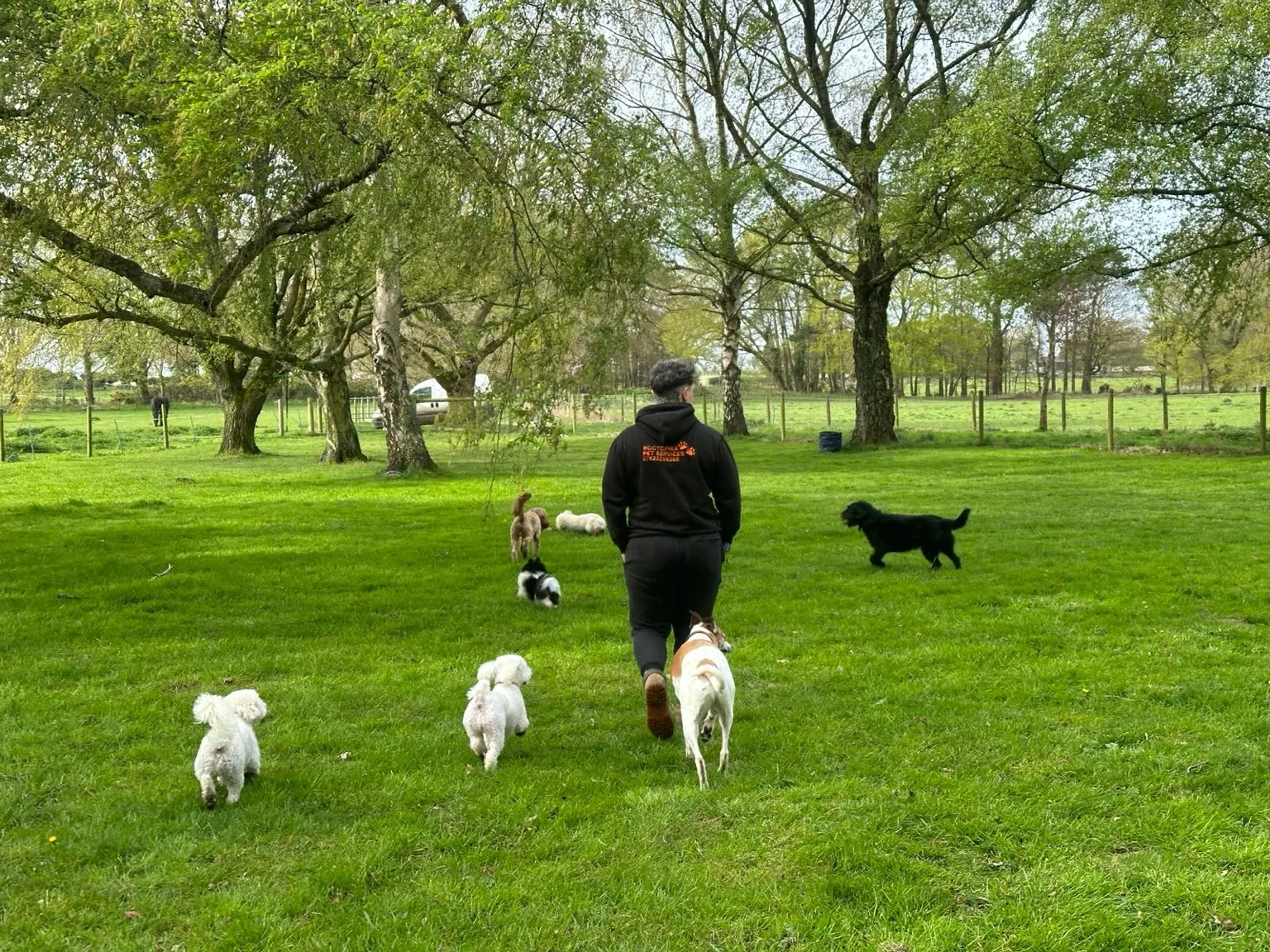 Friendly dog walking service