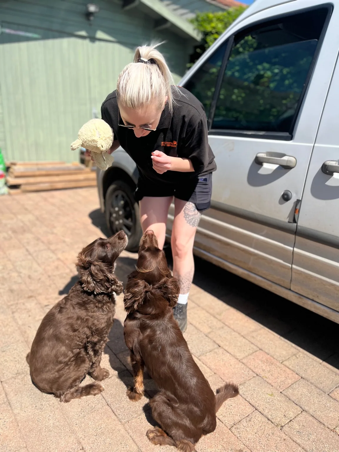 Loving pet care while you're away